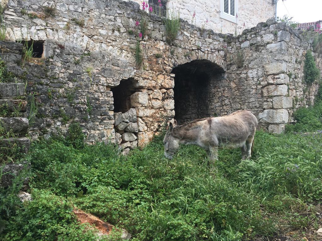 חוואר Casa Di Lavanda מראה חיצוני תמונה